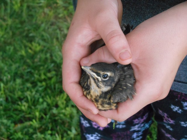 14348996124_adf3cca0c8_k