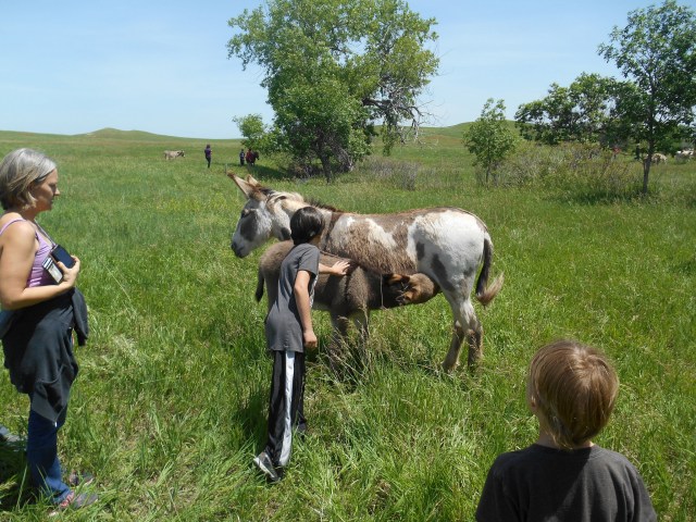 14457245054_d70d394ed9_k