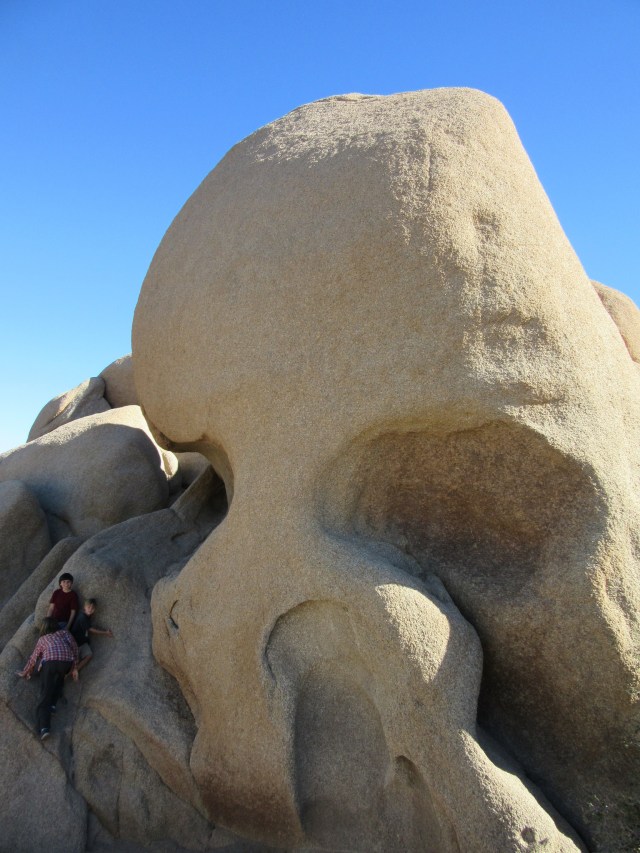 15133722284_4280b2a69e_k