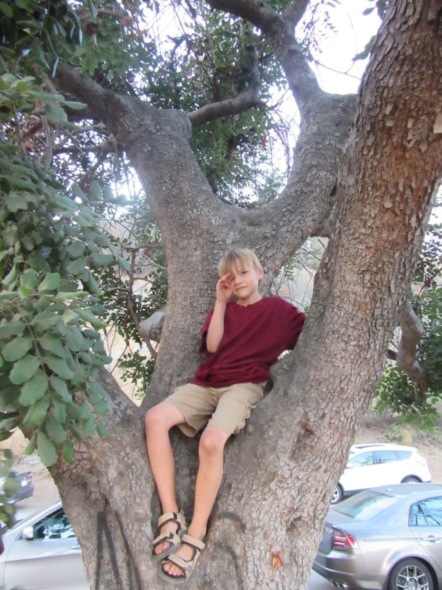 15596526156_a83ca63d49_k