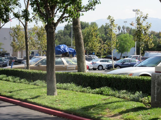 15621515872_7648336bcd_k