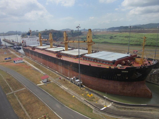 33596189525_df0d10b13a_k