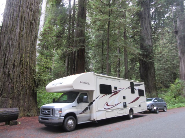 Redwood National Park10.JPG
