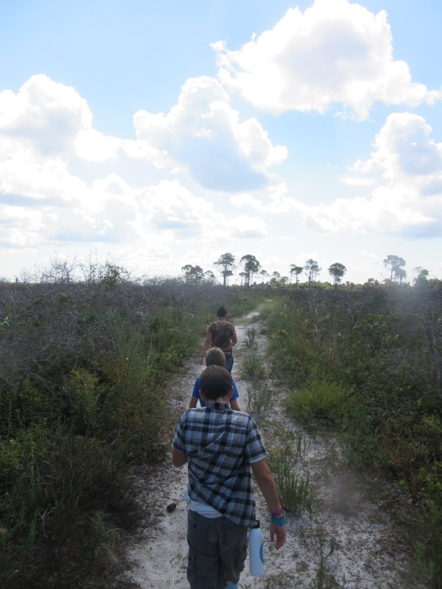 Merritt Island National Wildlife Refuge3